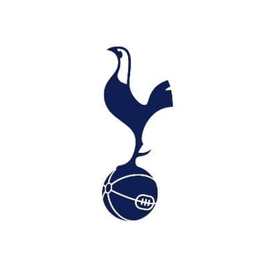 tottenhan hotspur_coin