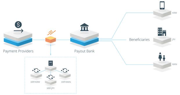 ریپل چیست؟